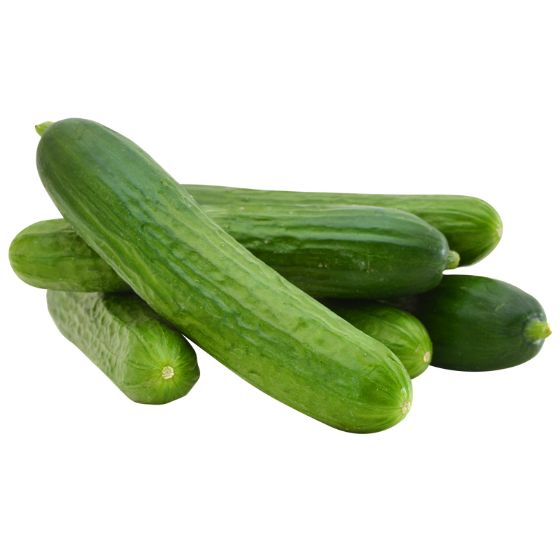 Eczema Relief Cream For Sale Buy Eczema Relief Moisturizing Lotion